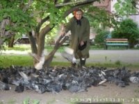 Кормилец 2 Кормилец 2