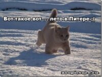 Лето в Питере :( Лето в Питере :(