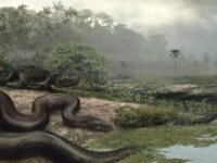 Titanoboa или «громадный удав» Titanoboa или «громадный удав»