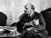 Кошки знаменитостей